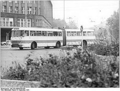 ikarus-180